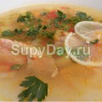Salmon soup