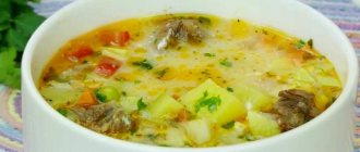 Soup with vegetables in meat broth is a very tasty and aromatic dish