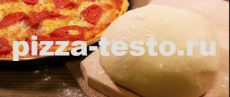 kefir pizza dough without yeast