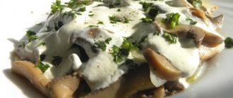 Stewed meat with mushrooms in sour cream: recipe and method of preparation