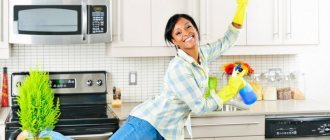 A smiling girl cleans the kitchen using the fly lady system