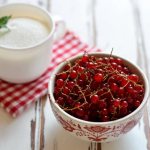 Redcurrant jam: 9 simple recipes for the winter, stage 2