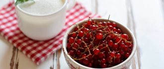 Redcurrant jam: 9 simple recipes for the winter, stage 2