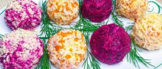 Appetizer Multi-colored balls for the festive table - recipes