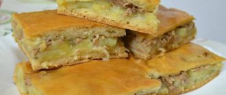Jellied potato pie with kefir: ingredients and recipe