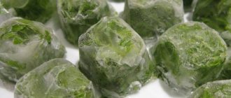 Frozen cubes of shredded green lettuce with water from the freezer