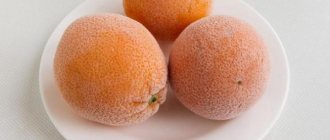 заморозить апельсины