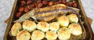 Baked sterlet in the oven with potatoes and mushrooms