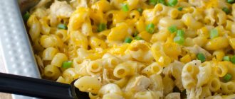 Oven pasta casserole with cheese