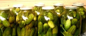 Cold pickling of crispy cucumbers for the winter