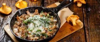 Fried chanterelles in sour cream - very tasty recipes for various dishes